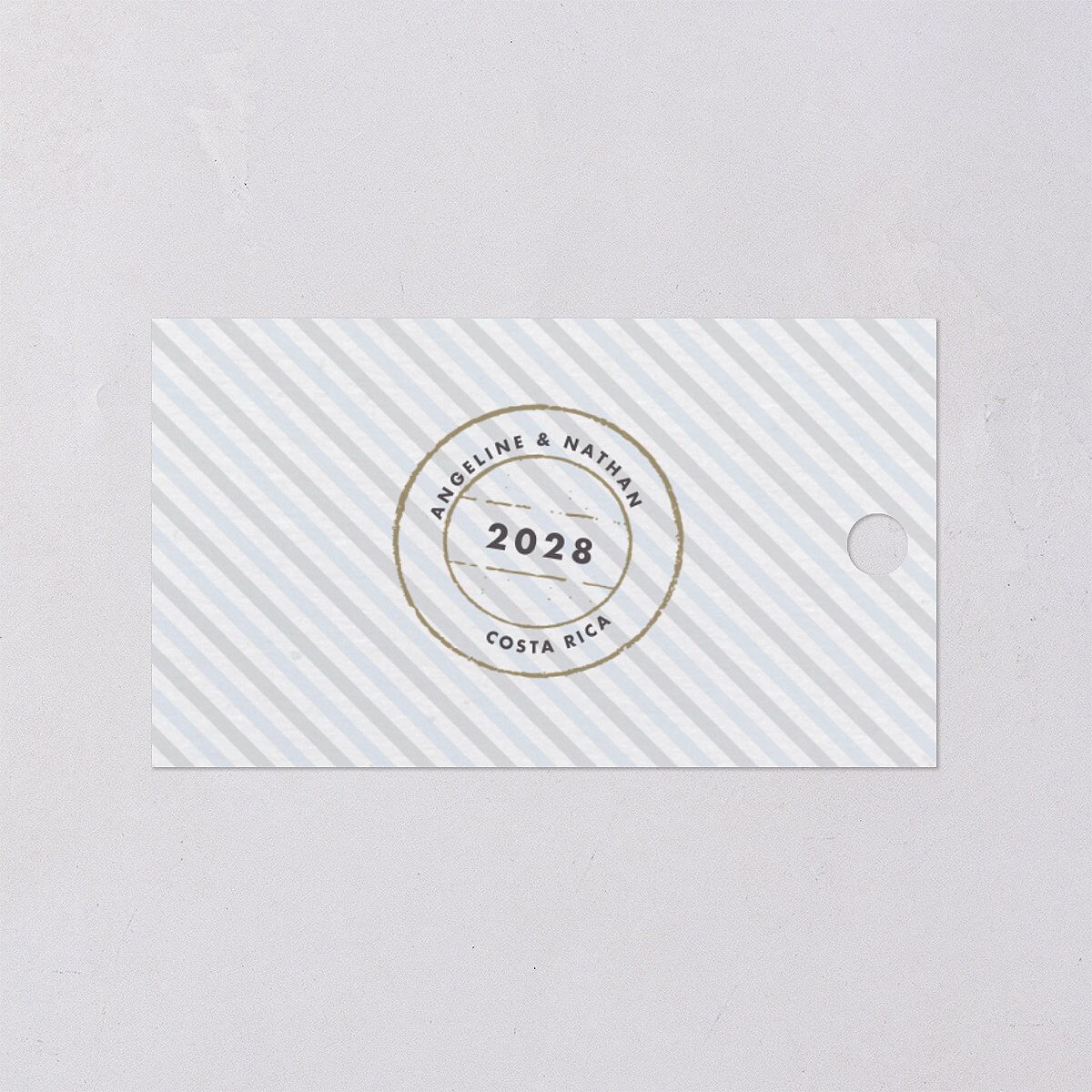 Vintage Boarding Pass Travel Ticket Favor Gift Tags Slate Signature