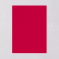 Chinese Phoenix Fenghuang Wedding Invitations Crimson Signature Blank No Standard