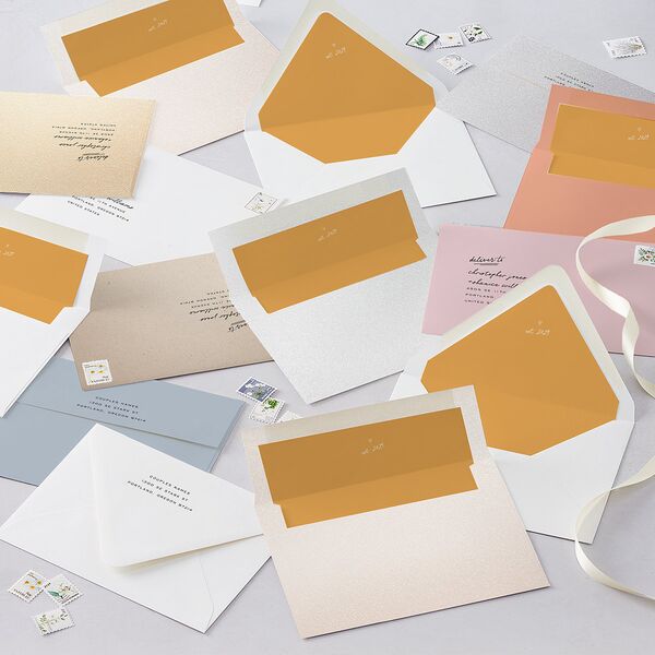 Sunny Day Modern Script Save the Date Cards Pure White Signature smooth Blank No Standard