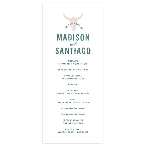 Hitched in Texas Wedding Programs Sky Signature