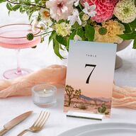 Desert Cactus Table Numbers Peach Fuzz Signature
