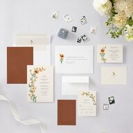 Wild Daisies Wedding Invitations Buttercup Signature Blank No Standard