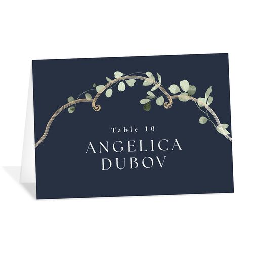 Fairytale Eucalyptus Foil Place Cards Navy Gold Signature
