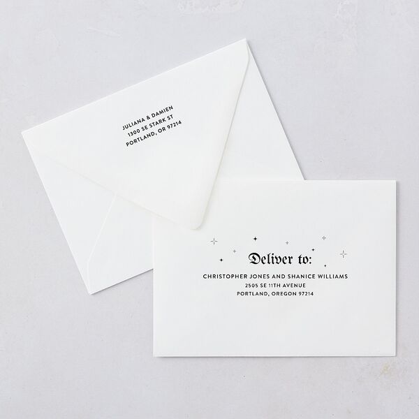 Moody Gothic Rose Save The Date Card Euro Envelopes Midnight White Both Recipient and Return Addresses Luxe Signature