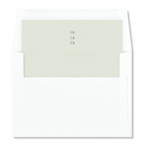 Scenic San Francisco Envelope Liners Sea Foam Standard