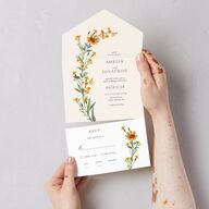 Wild Daisies All-in-One Wedding Invitations Buttercup Signature Light Both Recipient and Return Addresses No