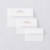 Wedstock Save The Date Card Envelopes White Standard Red Clay Both Recipient and Return Addresses Signature