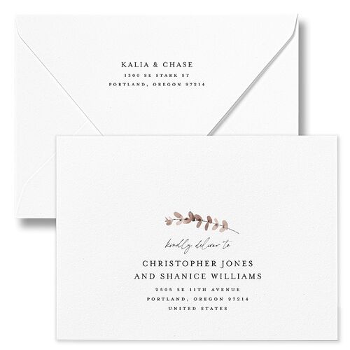Soft Pampas Botanical Bridal Shower Invitation Euro Envelopes White Silver Both Recipient and Return Addresses Luxe Signature