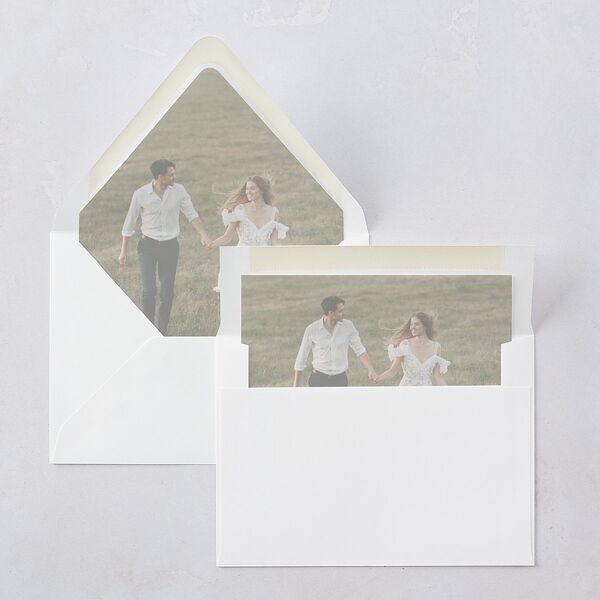 Modern Classic Picture Landscape Euro Envelope Liners Olive Luxe
