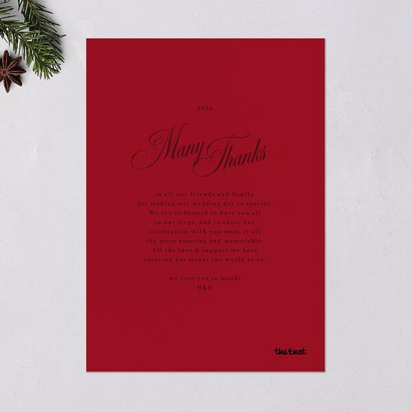 Holiday Eclectic Wavy Frame Holiday Cards Ruby Portrait Signature Blank Standard