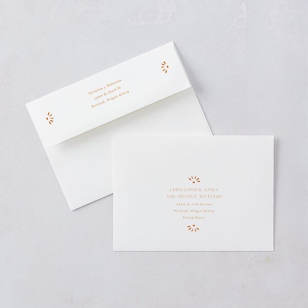 Hacienda Elegante Save The Date Card Envelopes White Cinnamon Both Recipient and Return Addresses Signature Standard