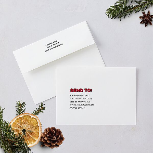 Comic Book Holiday Holiday Cards Ruby Signature Blank Portrait Standard