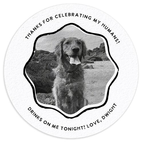 Hand Drawn Wavy Border Wedding Day Coasters Pure White Cardboard Circle