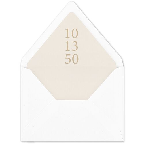 Handwritten Photo Faux Postcard Euro Envelope Liners Sand Luxe
