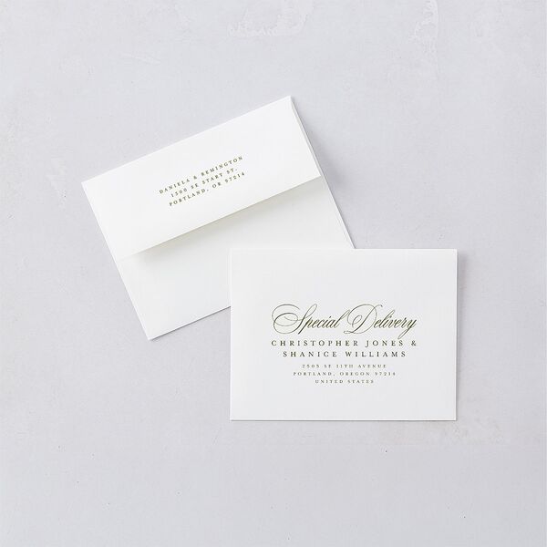 Modern Classic Picture Landscape Save the Date Magnet Envelopes White Olive Both Recipient and Return Addresses Signature Standard