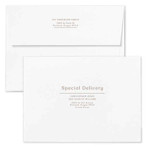 Sparkling Plaid Holiday Card Envelopes White Taupe Both Recipient and Return Addresses Standard Signature