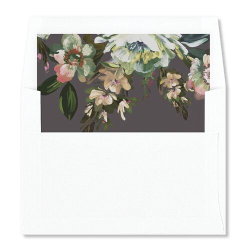 The Union Of Standard Envelope Liners Licorice Standard