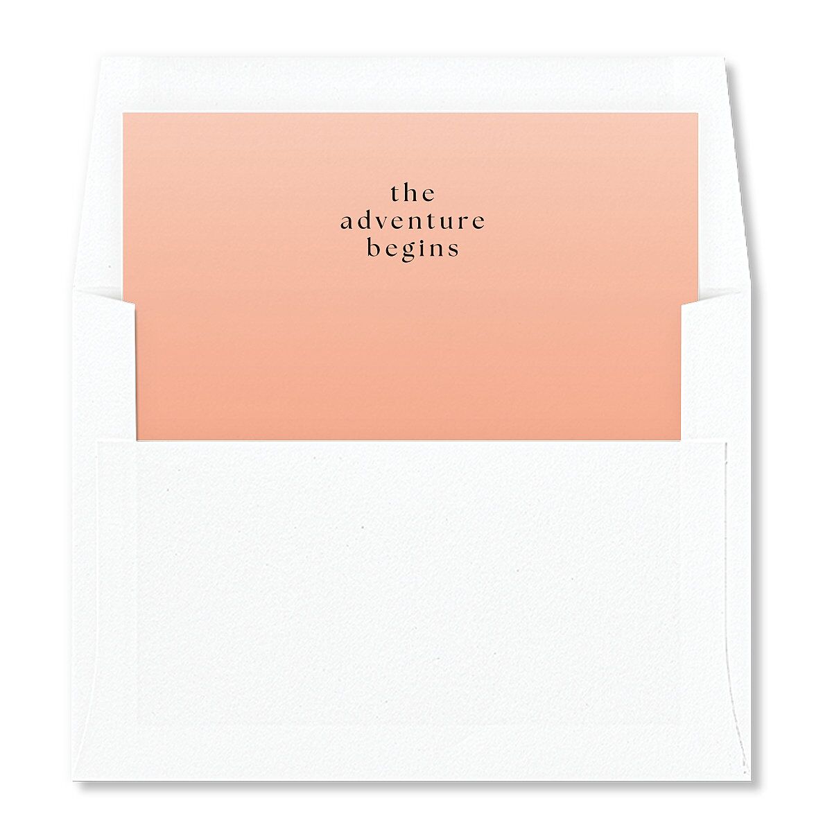 Desert Cactus Envelope Liners