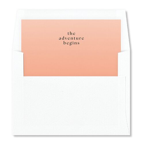 Desert Cactus Envelope Liners Standard Peach Fuzz Liner