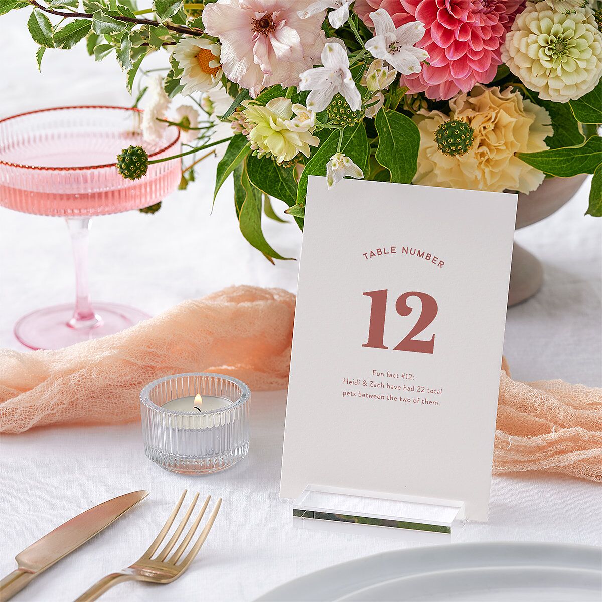 Custom Pet Portrait Table Numbers Desert Rose Signature