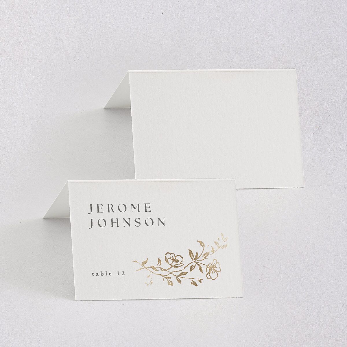 Gilded Branches Foil Place Cards Gold Off-White Signature