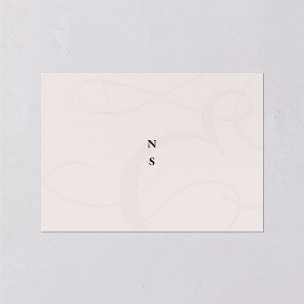 Ampersand Flourish Wedding Response Cards Snow Signature Standard