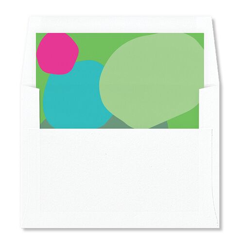 Santa Cruz Bilingual Foreign Language Standard Envelope Liners Green Apple Standard