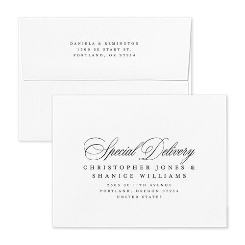Modern Classic Picture Landscape Save the Date Magnet Envelopes Rose Champagne Recipient Address Signature Standard