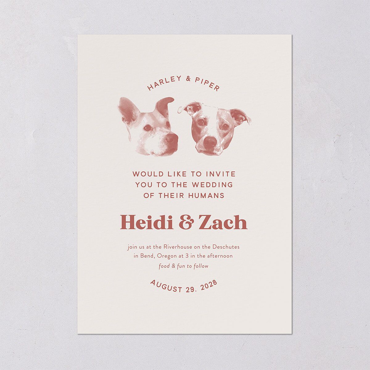Custom Pet Portrait Wedding Invitations Desert Rose Signature Blank