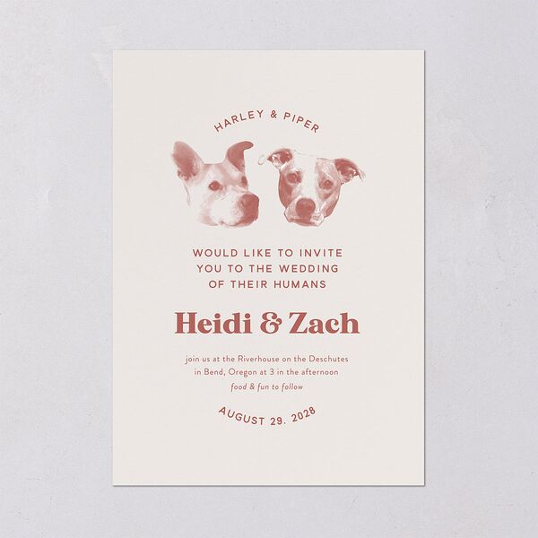 Custom Pet Portrait Wedding Invitations Desert Rose Signature Blank