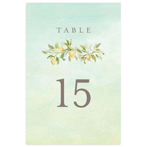 Elegant Italy Table Numbers Sky Signature