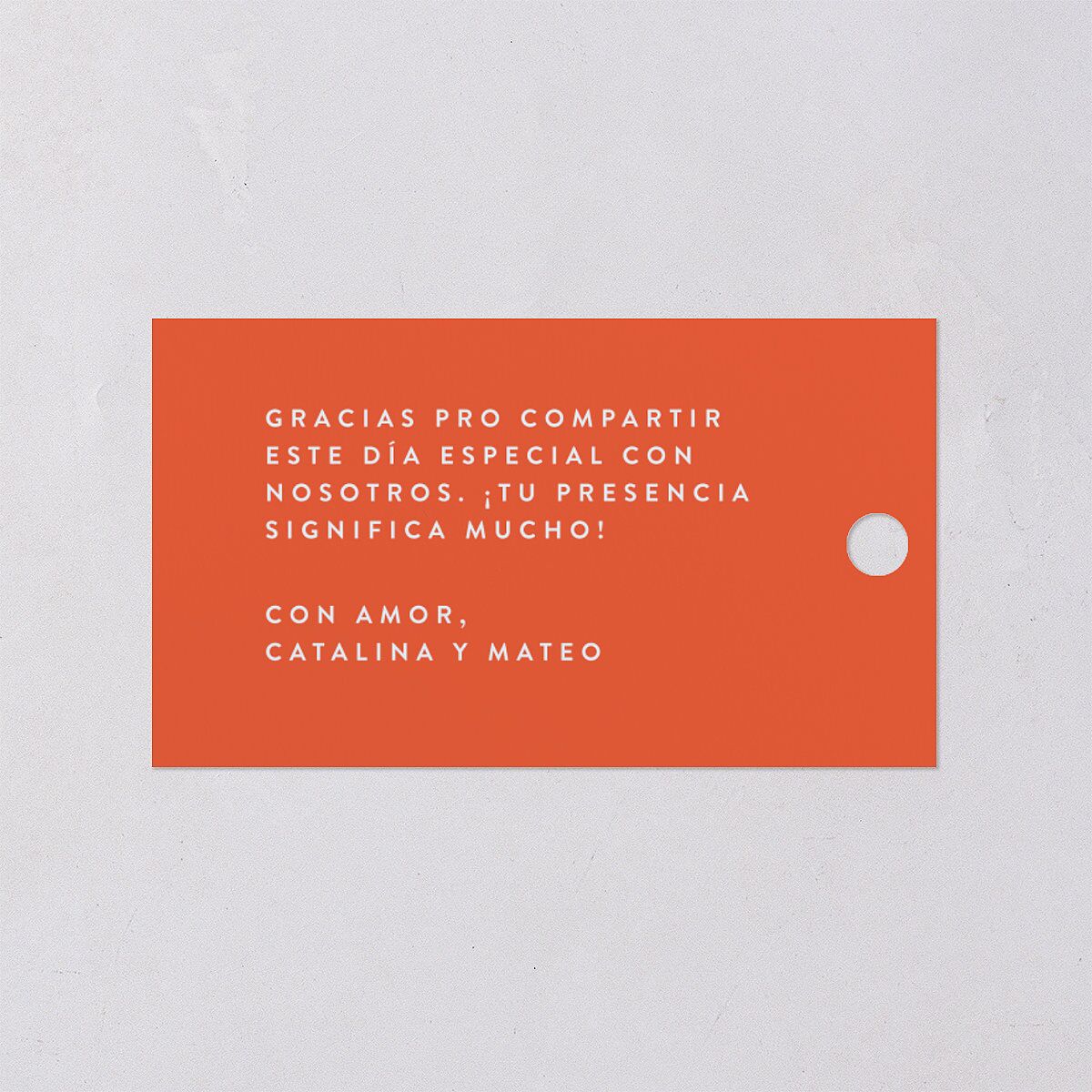 Santa Cruz Favor Gift Tags Aquamarine Signature