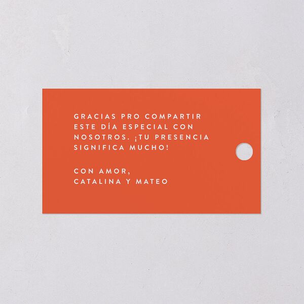 Santa Cruz Favor Gift Tags Aquamarine Signature