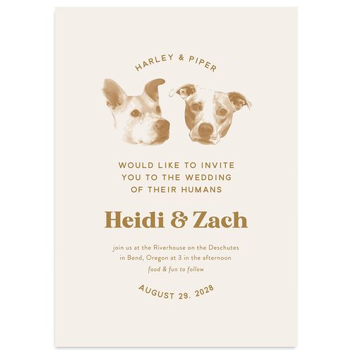 Custom Pet Portrait Wedding Invitations Driftwood Signature Blank No Standard