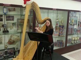 Rachel Greer, Harpist - Harpist - Rowlett, TX - Hero Gallery 2