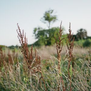 Gallery Photo 47