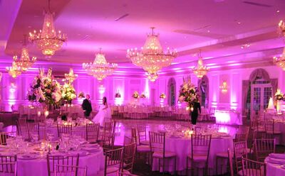 Wedding Planners In West Palm Beach Fl The Knot