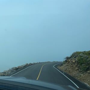 Gallery Photo 9
