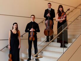 Lucia String Quartet - String Quartet - Madison, WI - Hero Gallery 2