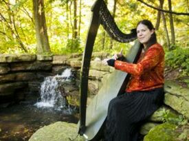Annette Bjorling - Harpist - Chicago, IL - Hero Gallery 4