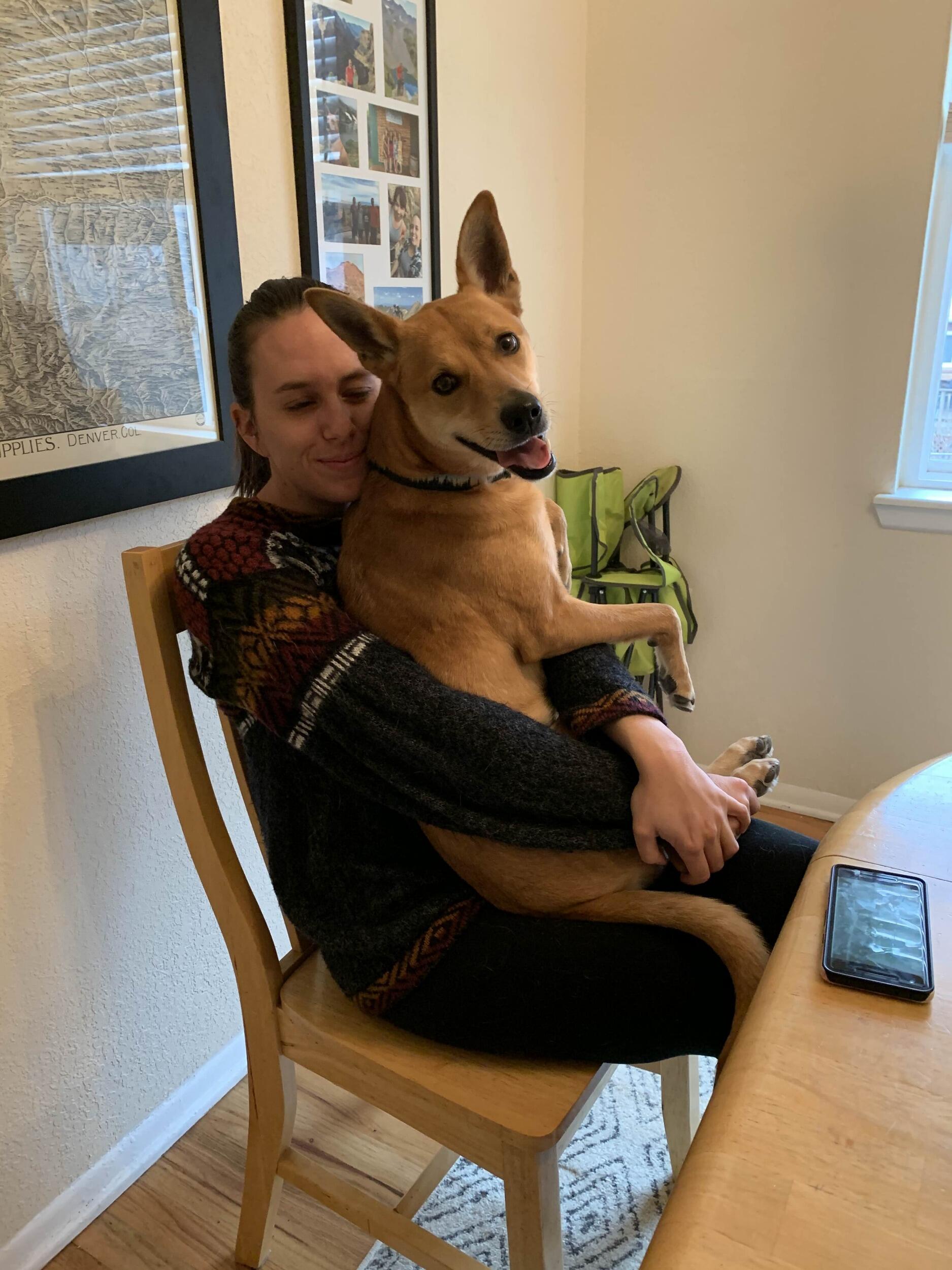 COVID is ramping up, and Sally's work goes full remote. She packs up her car for a two week trip to New Mexico (with Mango in tow) and drives across the country to go see David! On the way, she stops at Becca's (groomswoman) in Denver for a quick nap.