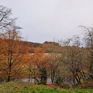 Gallery Photo 122