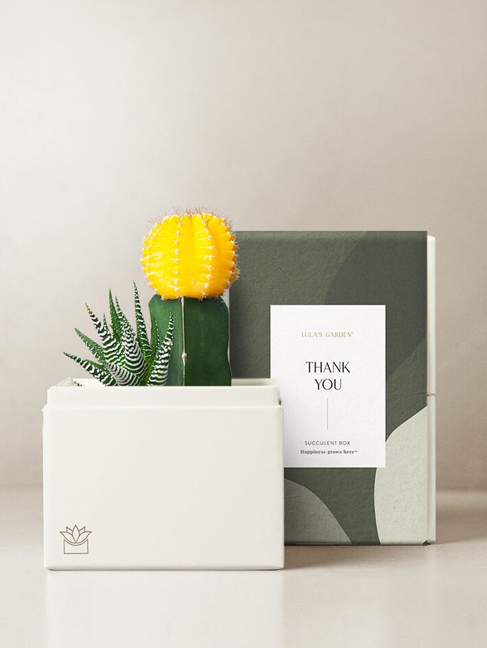 Mini succulent garden maid of honor gift