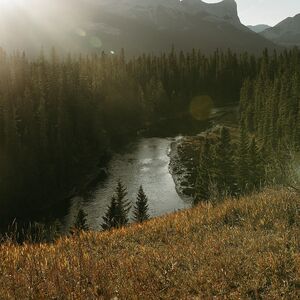 Gallery Photo 2