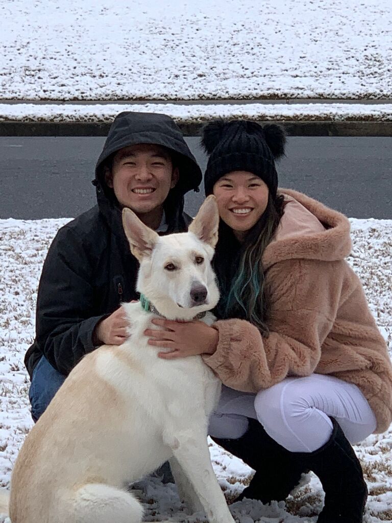 First snow day with our pupper, Cloud.
She is not amused.