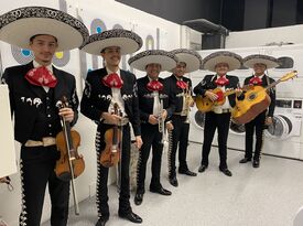 Mariachi Guerreros De Mexico - Mariachi Band - Chicago, IL - Hero Gallery 3