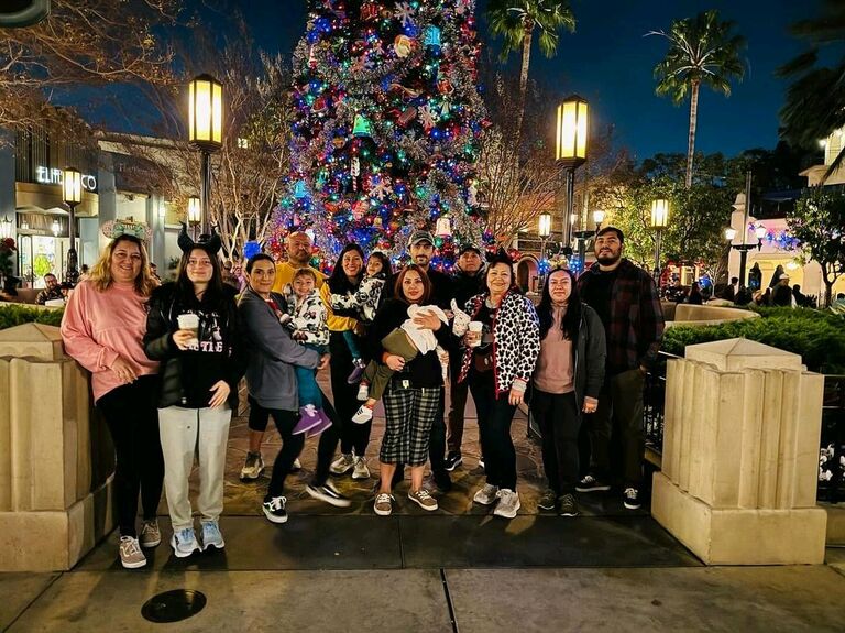 Family trip to Disneyland 2023