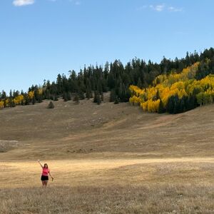 Gallery Photo 59
