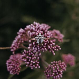 Gallery Photo 8