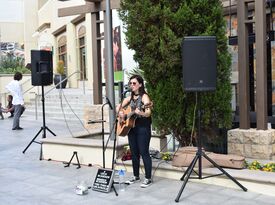 Erin McAndrew - Acoustic Guitarist - Philadelphia, PA - Hero Gallery 4